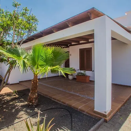 Ficus * Playa Blanca (Lanzarote)